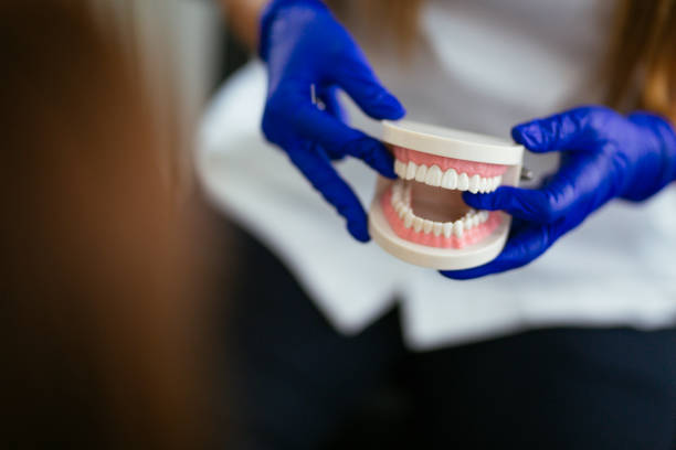 Lusk, WY  Holistic Dental Services Company